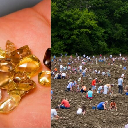 Visitors have discovered more than 37,000 diamonds at this US park since 1972 and can keep every gem they find | World News