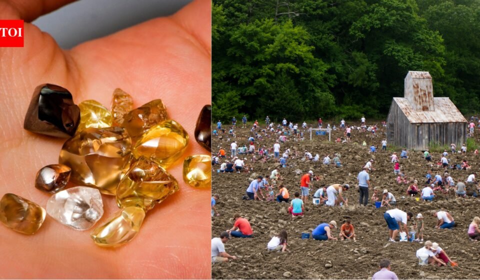 Visitors have discovered more than 37,000 diamonds at this US park since 1972 and can keep every gem they find | World News