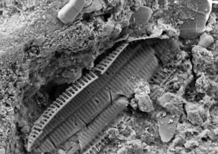 What's underneath Omaha Beach: WWII shrapnel found in the sand reveals the land still carries memories of the war | World News