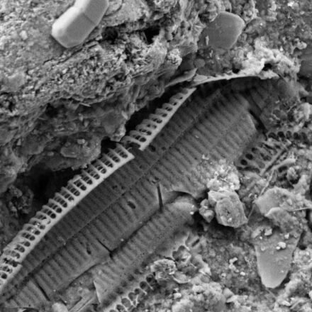 What's underneath Omaha Beach: WWII shrapnel found in the sand reveals the land still carries memories of the war | World News