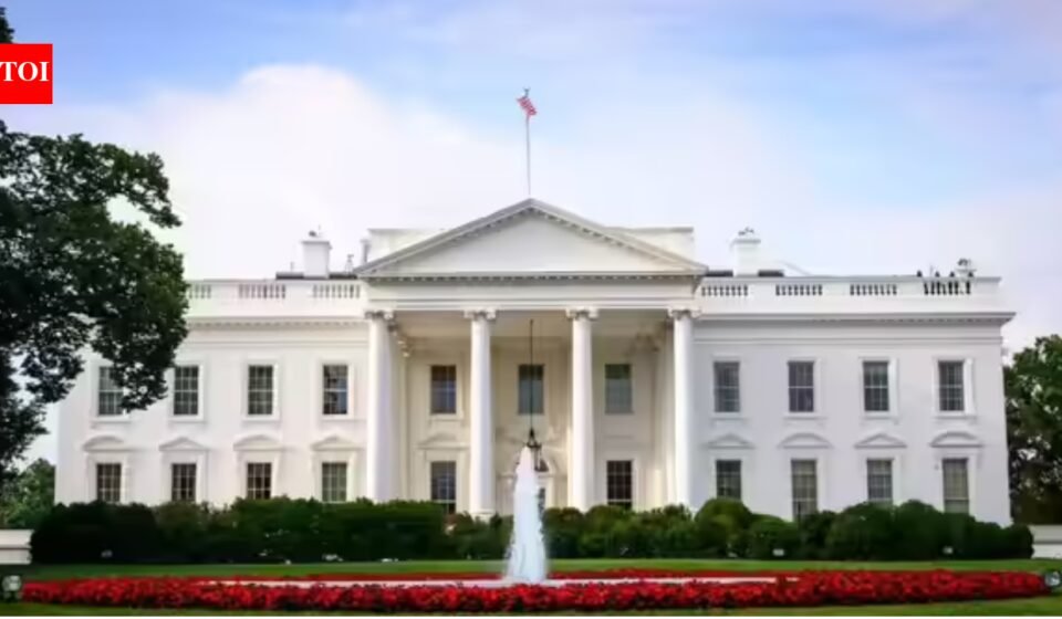 White House delays report on US voting machine vulnerabilities as midterm elections approach: report