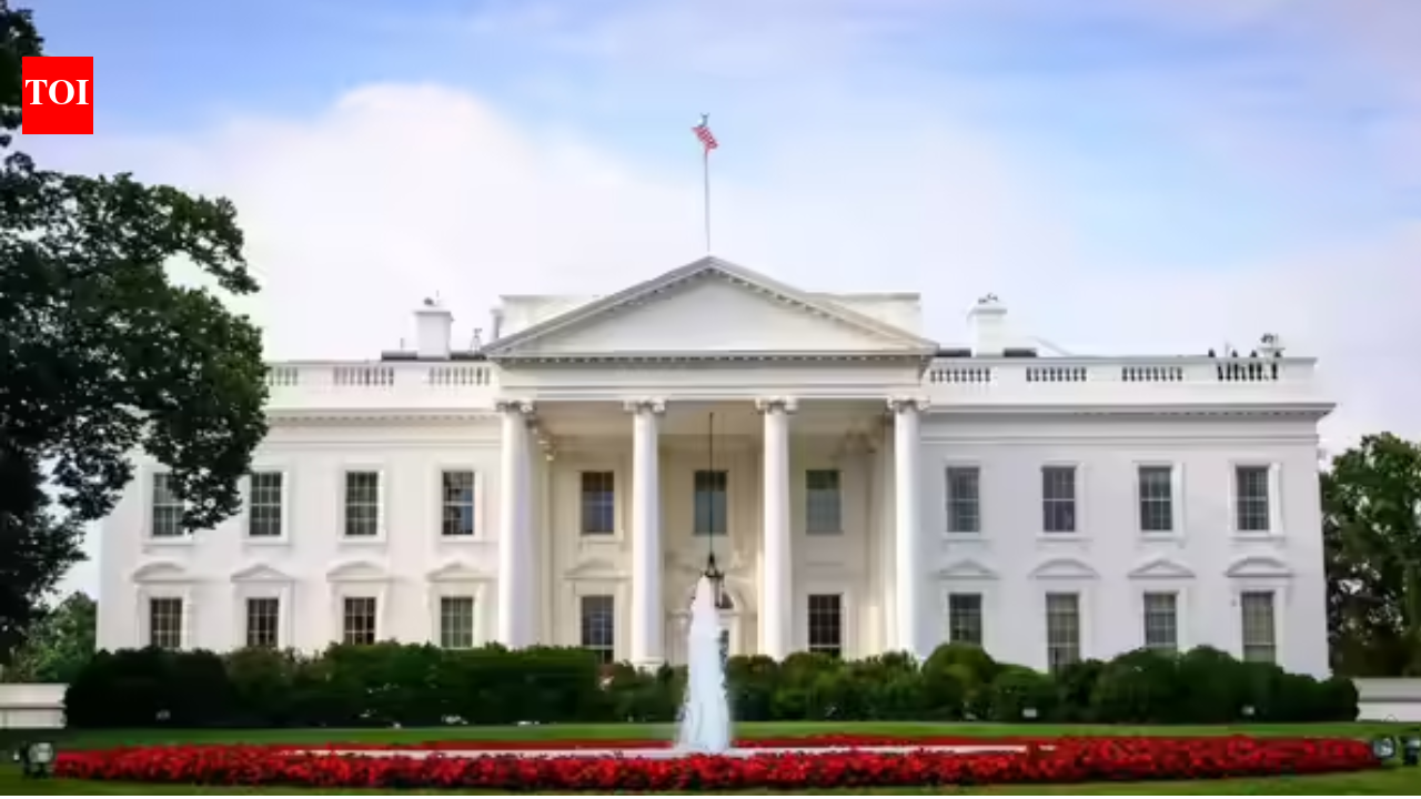 White House delays report on US voting machine vulnerabilities as midterm elections approach: report