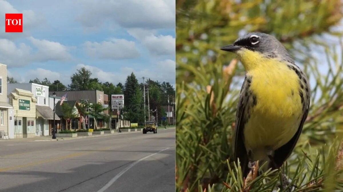 Wildlife miracle: Michigan town saved entire bird species and rewrote conservation history