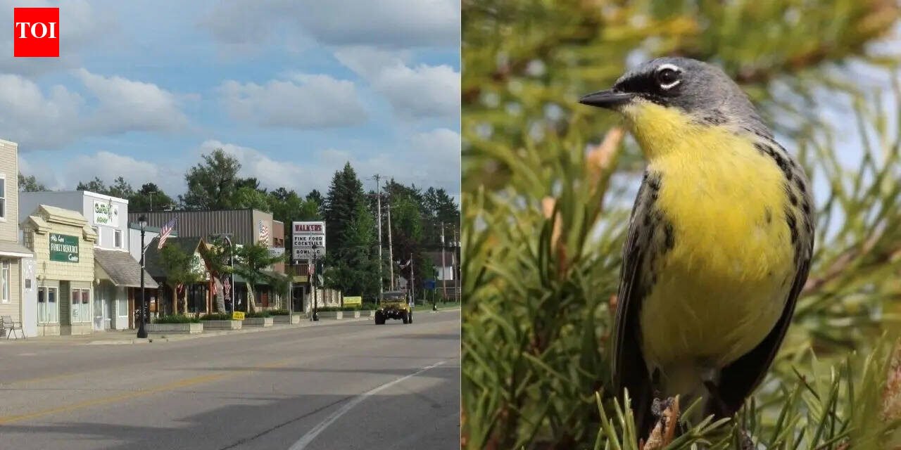 Wildlife miracle: Michigan town saved entire bird species and rewrote conservation history