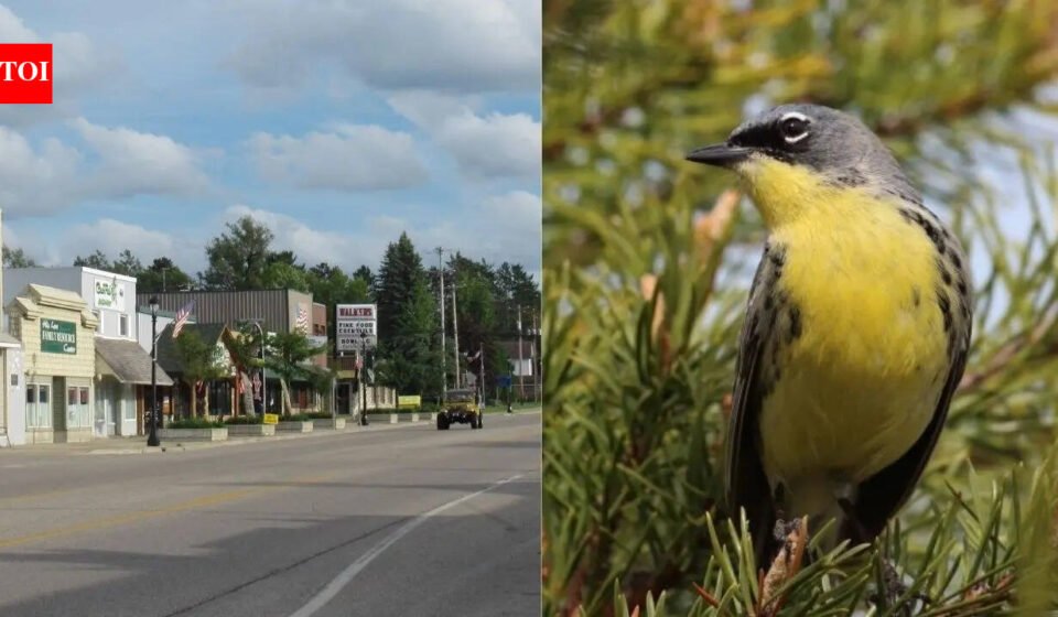 Wildlife miracle: Michigan town saved entire bird species and rewrote conservation history