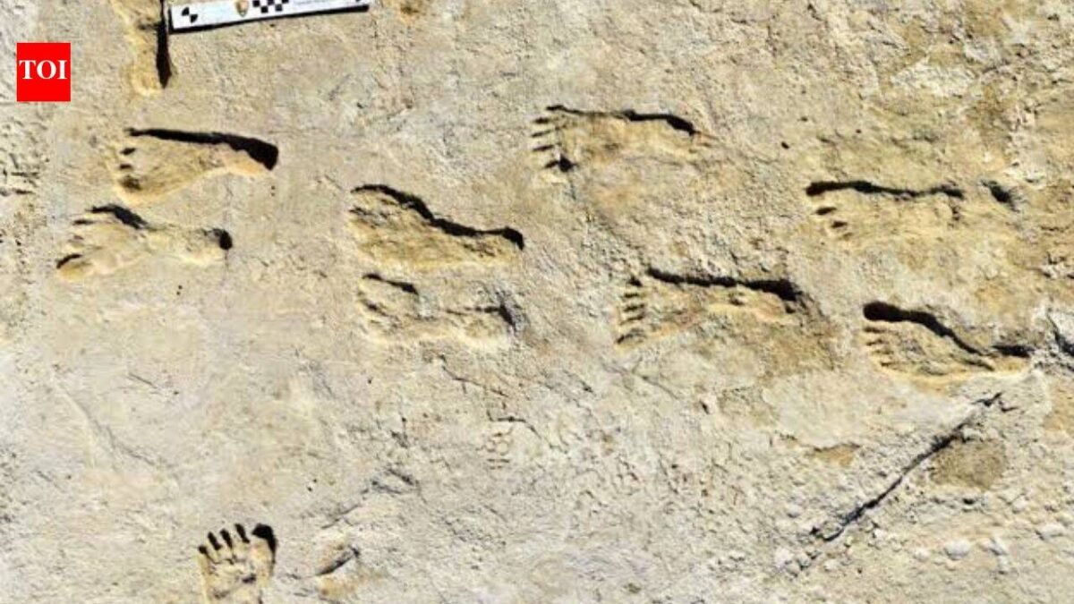 23,000-year-old footprints in white sand are rewriting the story of America's first humans | World News
