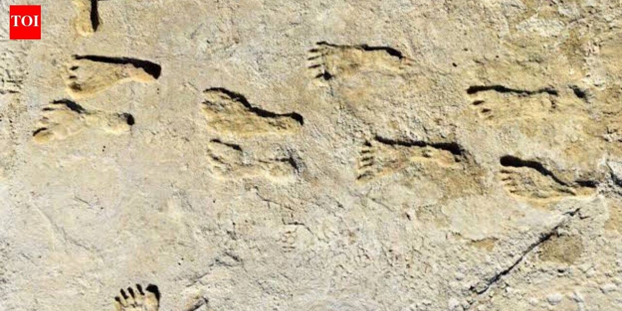 23,000-year-old footprints in white sand are rewriting the story of America's first humans | World News