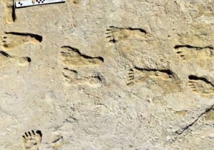 23,000-year-old footprints in white sand are rewriting the story of America's first humans | World News