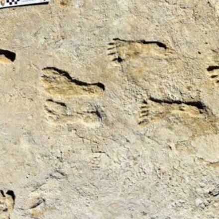 23,000-year-old footprints in white sand are rewriting the story of America's first humans | World News