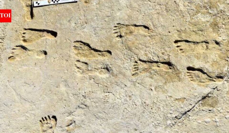 23,000-year-old footprints in white sand are rewriting the story of America's first humans | World News