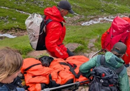 A Labrador started shaking and could no longer walk on Britain's highest mountain; rescuers later discovered what she had eaten