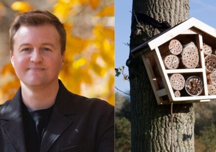 A scientist built 200 hotels for bees. Three years later, the guests he found have transformed what we know about pollinators and biodiversity |