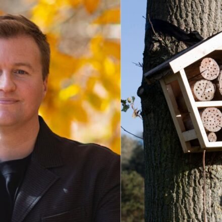 A scientist built 200 hotels for bees. Three years later, the guests he found have transformed what we know about pollinators and biodiversity |