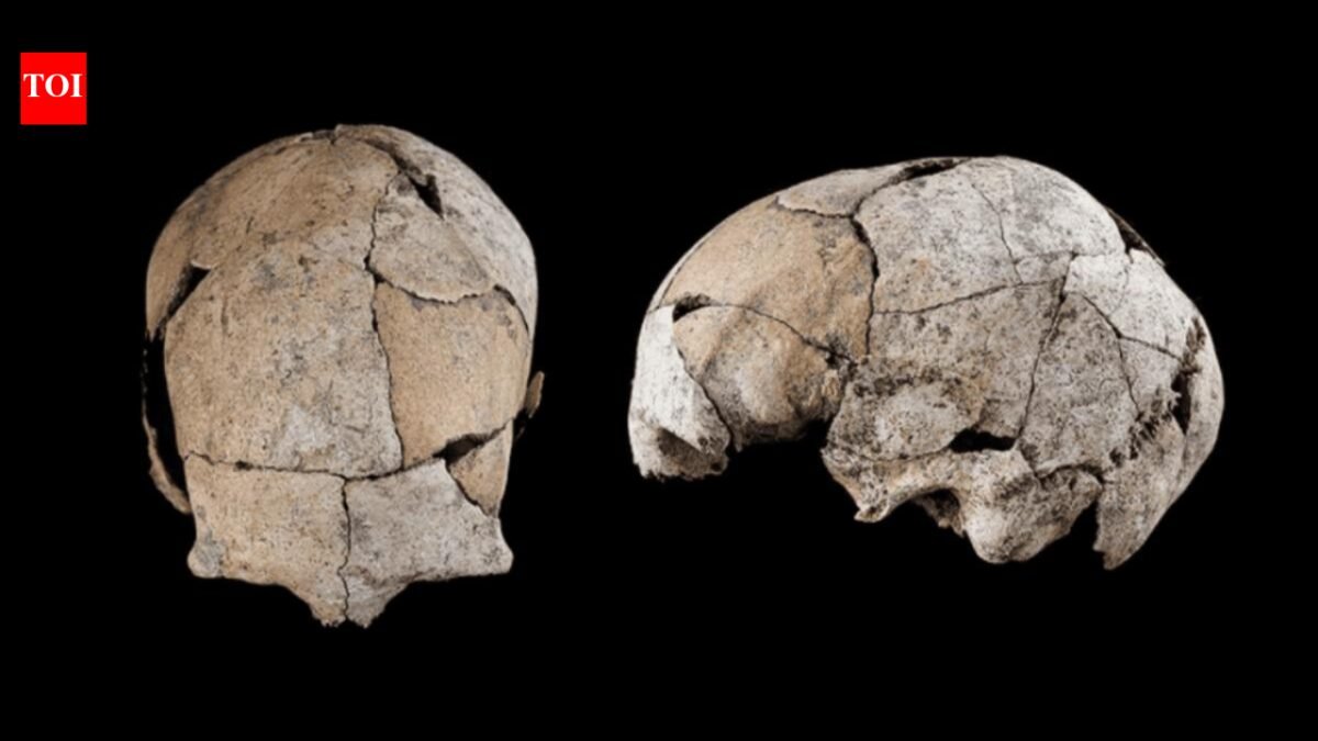 A skull found in Spain, buried beneath a Stone Age grave for 5,300 years, reveals the world's earliest ear surgery |