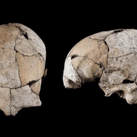 A skull found in Spain, buried beneath a Stone Age grave for 5,300 years, reveals the world's earliest ear surgery |