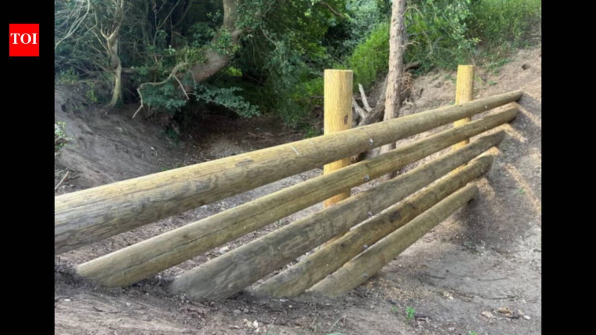 A village in England spent £35,000 building four beaver dams after their homes were flooded. Now waiting for next flood during hose ban period
