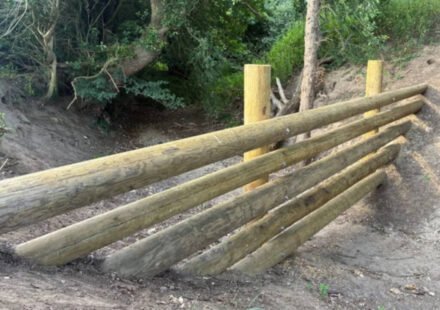 A village in England spent £35,000 building four beaver dams after their homes were flooded. Now waiting for next flood during hose ban period