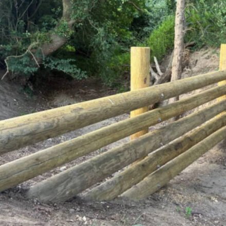 A village in England spent £35,000 building four beaver dams after their homes were flooded. Now waiting for next flood during hose ban period