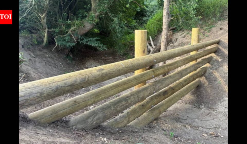 A village in England spent £35,000 building four beaver dams after their homes were flooded. Now waiting for next flood during hose ban period