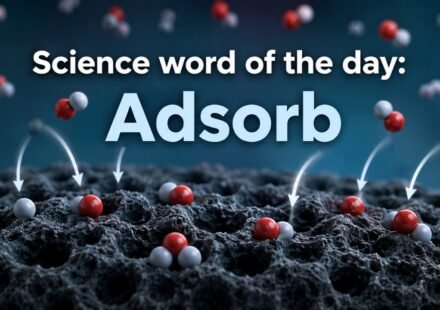Adsorb: Daily Science Word: Adsorb, know what it means, who introduced the word, and its practical applications |