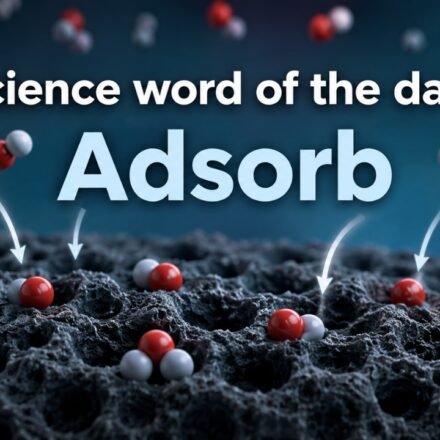 Adsorb: Daily Science Word: Adsorb, know what it means, who introduced the word, and its practical applications |