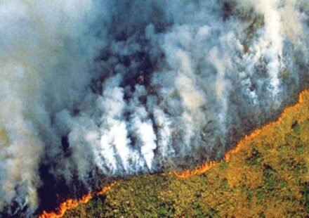 Amazon fires peaked during the 2024 drought. A year later, the area burned reached its lowest level since records began in 1985