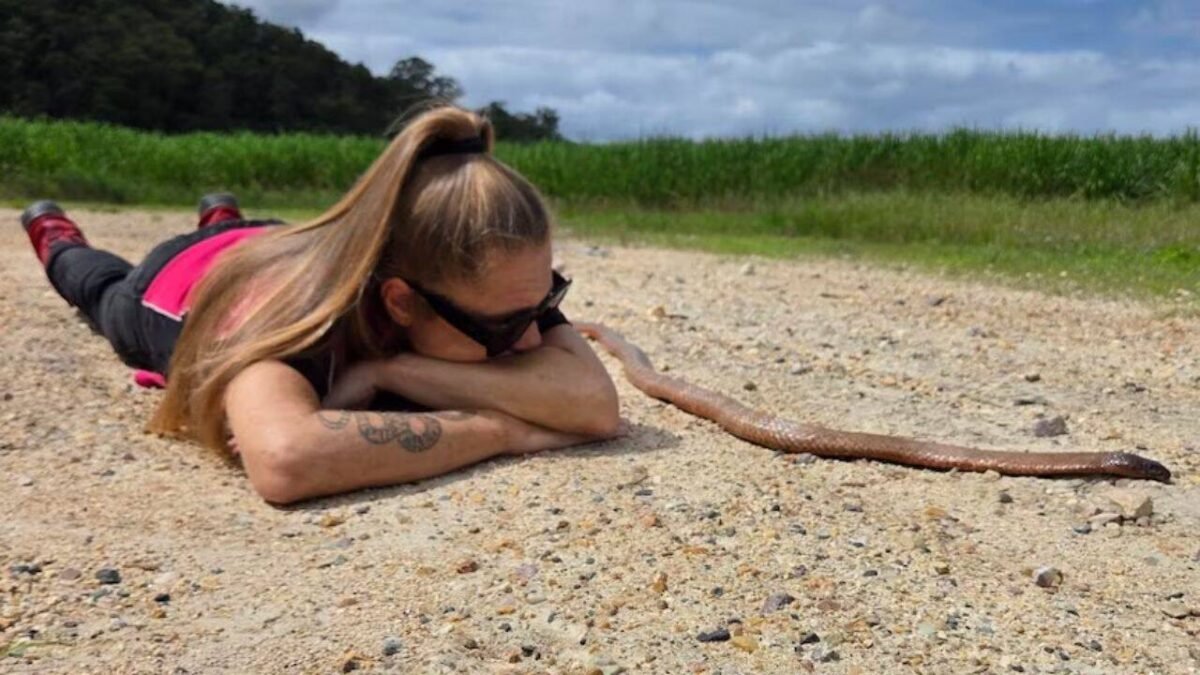 An Australian cyclist accidentally trapped a 2m eastern brown snake in her bike chain before it bit her | World News