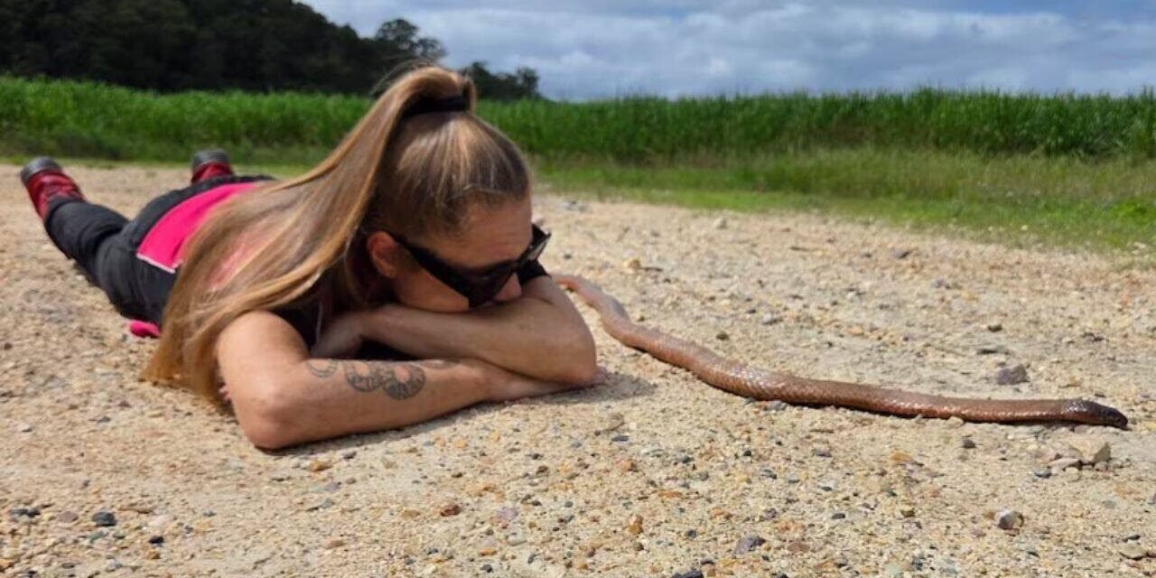 An Australian cyclist accidentally trapped a 2m eastern brown snake in her bike chain before it bit her | World News