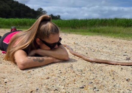 An Australian cyclist accidentally trapped a 2m eastern brown snake in her bike chain before it bit her | World News