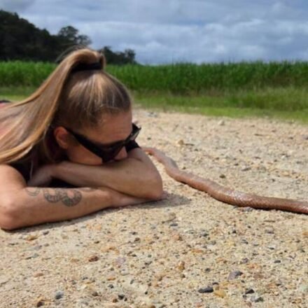 An Australian cyclist accidentally trapped a 2m eastern brown snake in her bike chain before it bit her | World News