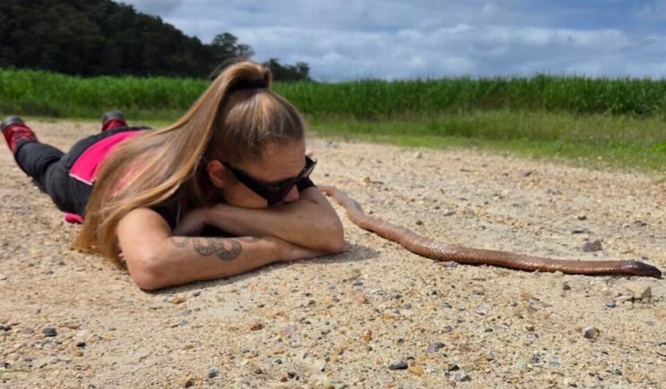 An Australian cyclist accidentally trapped a 2m eastern brown snake in her bike chain before it bit her | World News