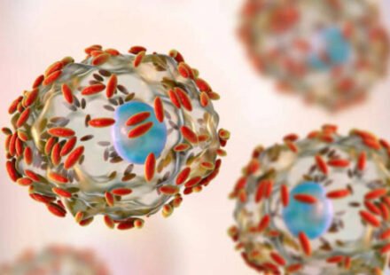 An outbreak of stomach infections in the U.S., how the Cyclospora parasite makes people sick, and what researchers know so far about its origins
