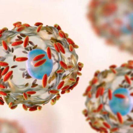 An outbreak of stomach infections in the U.S., how the Cyclospora parasite makes people sick, and what researchers know so far about its origins