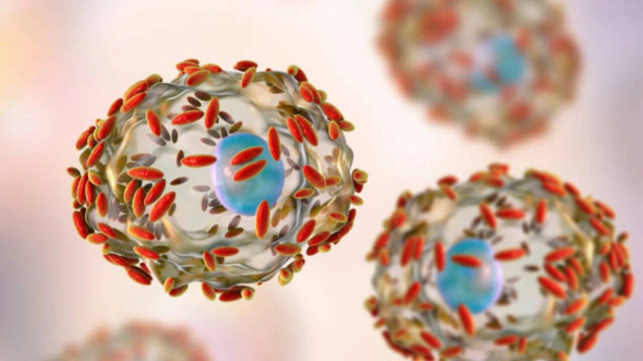 An outbreak of stomach infections in the U.S., how the Cyclospora parasite makes people sick, and what researchers know so far about its origins
