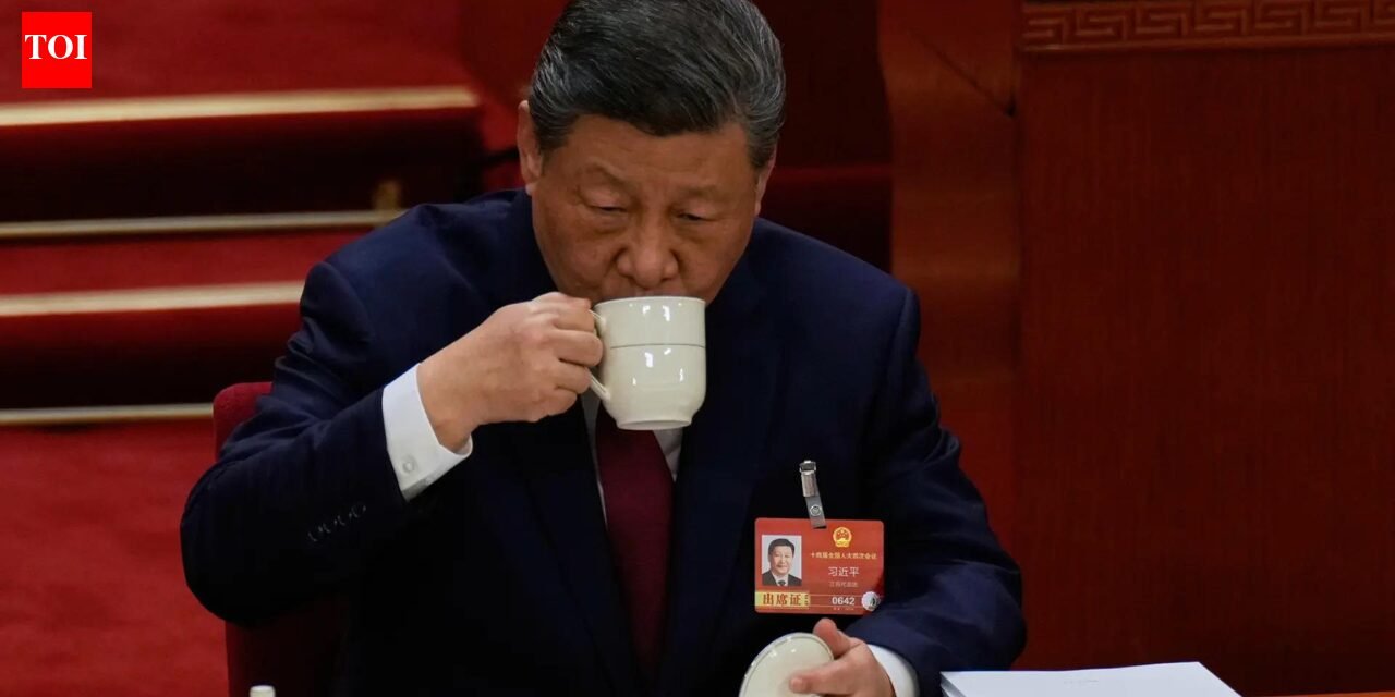 Beijing pushes for China-Pakistan-style economic corridor with Bangladesh and Myanmar