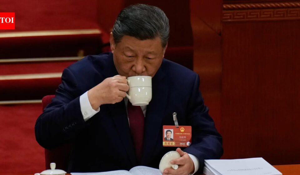 Beijing pushes for China-Pakistan-style economic corridor with Bangladesh and Myanmar