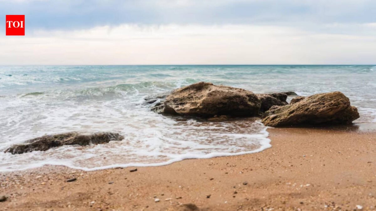 Best proverb of the day: "The ocean keeps every secret, but there is a charge for storing salt." Every hidden truth is changed by time and chemistry