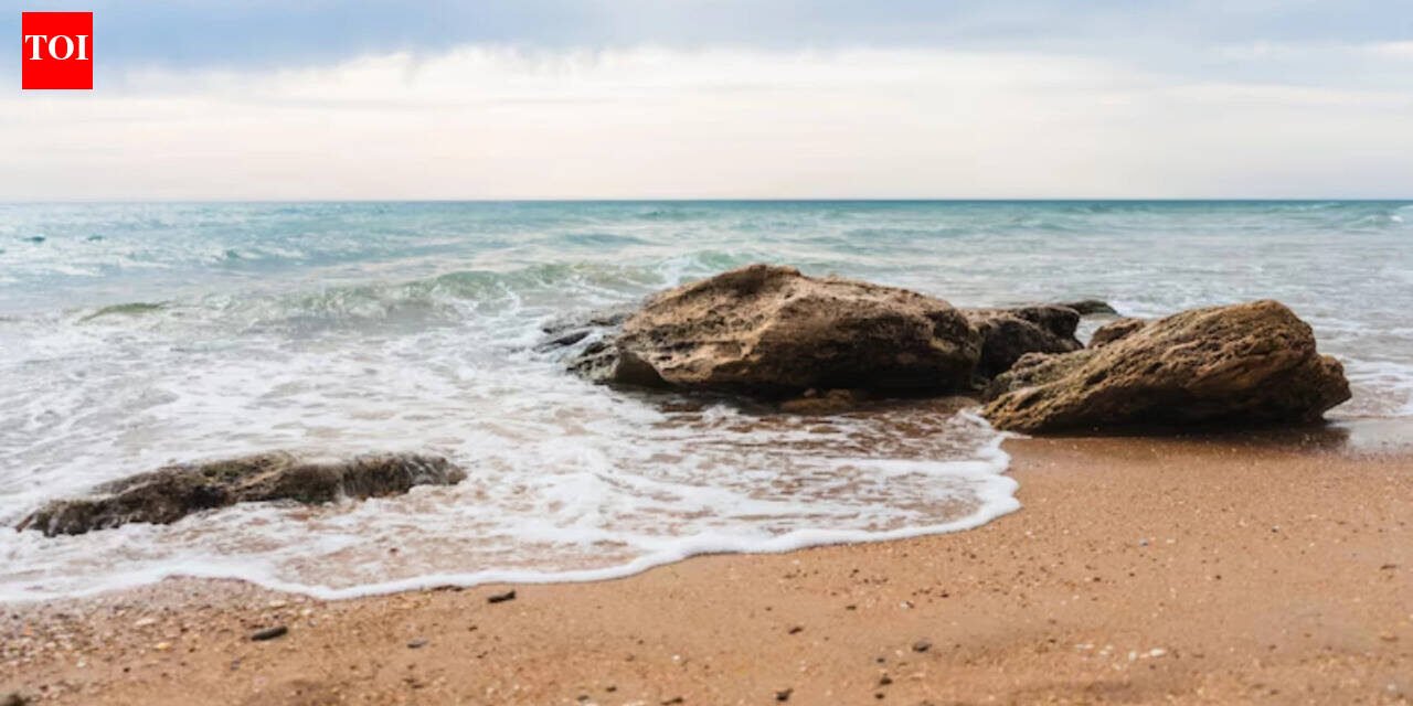 Best proverb of the day: "The ocean keeps every secret, but there is a charge for storing salt." Every hidden truth is changed by time and chemistry
