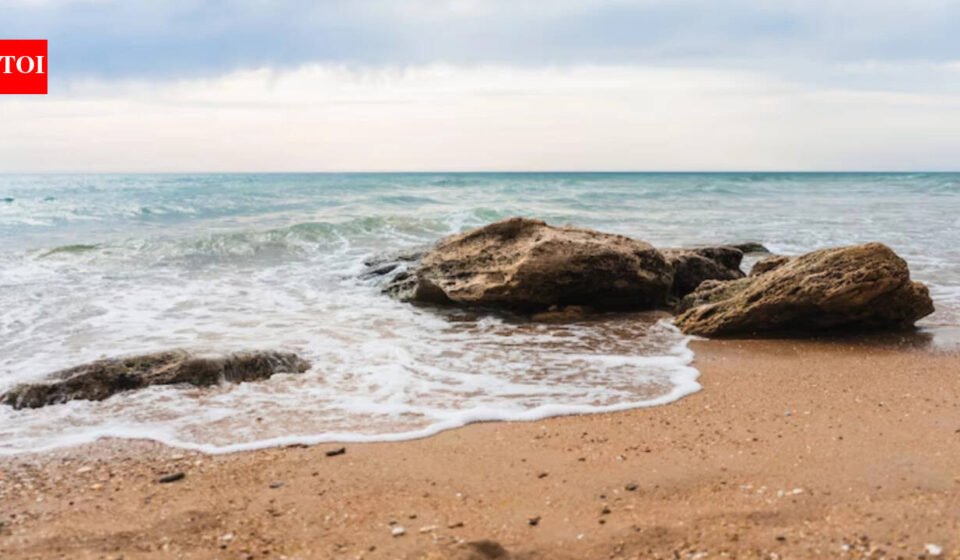 Best proverb of the day: "The ocean keeps every secret, but there is a charge for storing salt." Every hidden truth is changed by time and chemistry