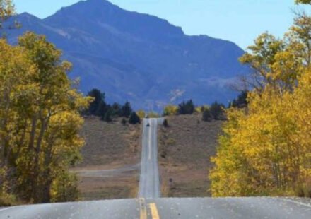 California to spend $36.4 million to restore Ebbetts Pass, one of the last wild trans-Sierra highways that climbs over 8,000 feet and narrows to single lane