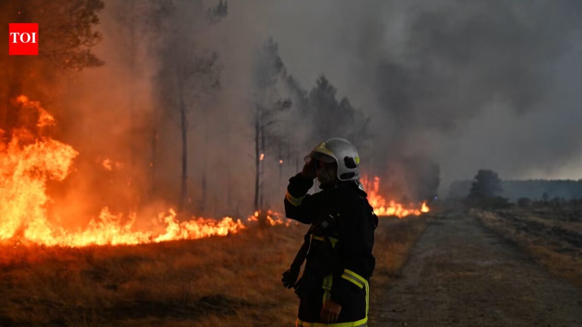 Canada's 2023 wildfires burned 15.1 million hectares of land and released 554 million tons of carbon; scientists found most of it came from soil and peat under trees