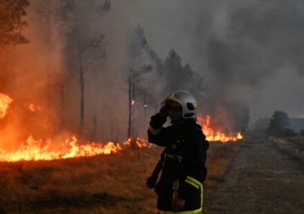 Canada's 2023 wildfires burned 15.1 million hectares of land and released 554 million tons of carbon; scientists found most of it came from soil and peat under trees