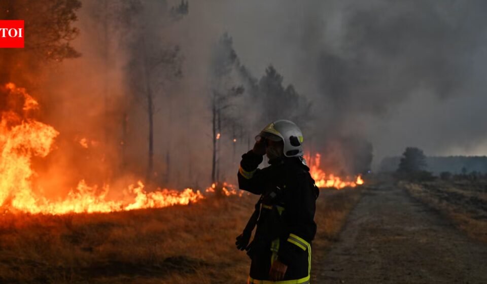 Canada's 2023 wildfires burned 15.1 million hectares of land and released 554 million tons of carbon; scientists found most of it came from soil and peat under trees