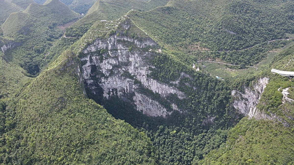 China's giant sinkhole is protecting an endangered magnolia tree, but may also trap its future