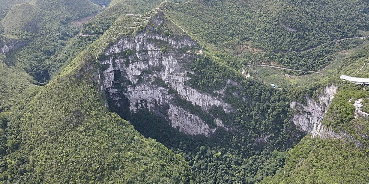 China's giant sinkhole is protecting an endangered magnolia tree, but may also trap its future