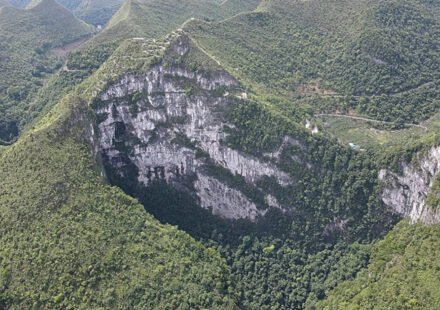 China's giant sinkhole is protecting an endangered magnolia tree, but may also trap its future