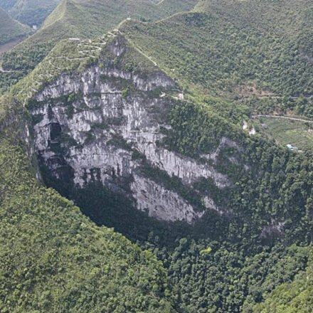 China's giant sinkhole is protecting an endangered magnolia tree, but may also trap its future