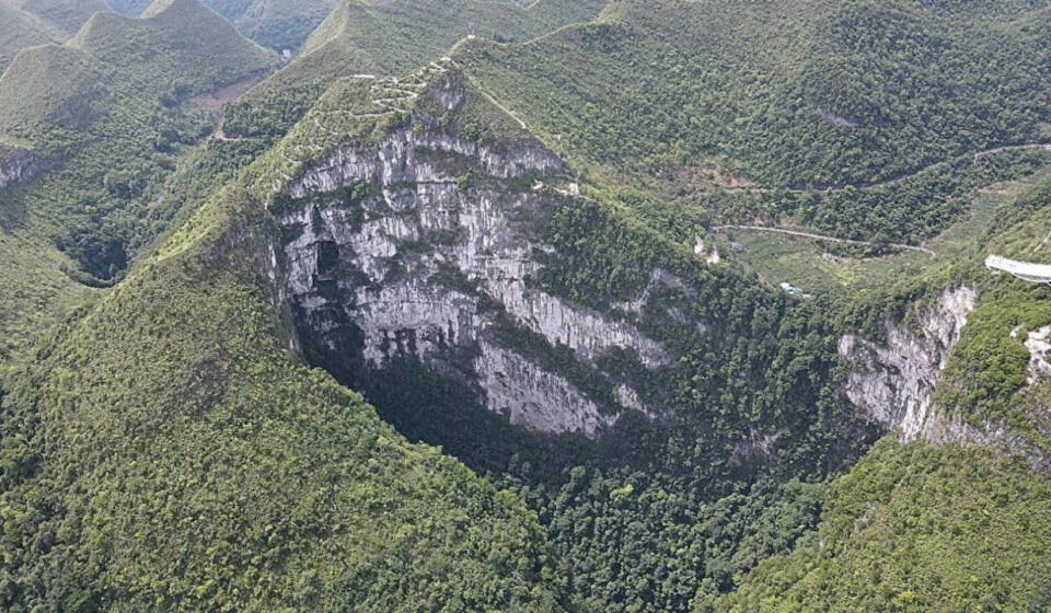China's giant sinkhole is protecting an endangered magnolia tree, but may also trap its future