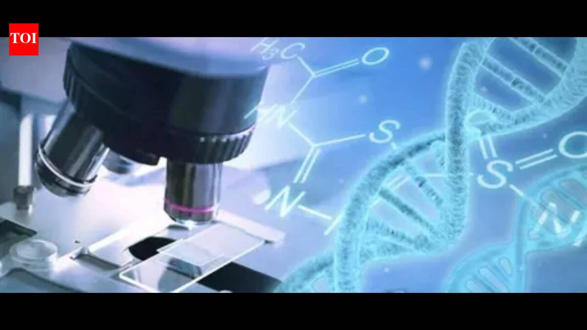 Chinese girl dies after gene editing treatment: report