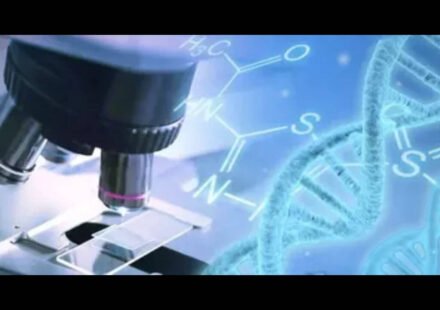Chinese girl dies after gene editing treatment: report